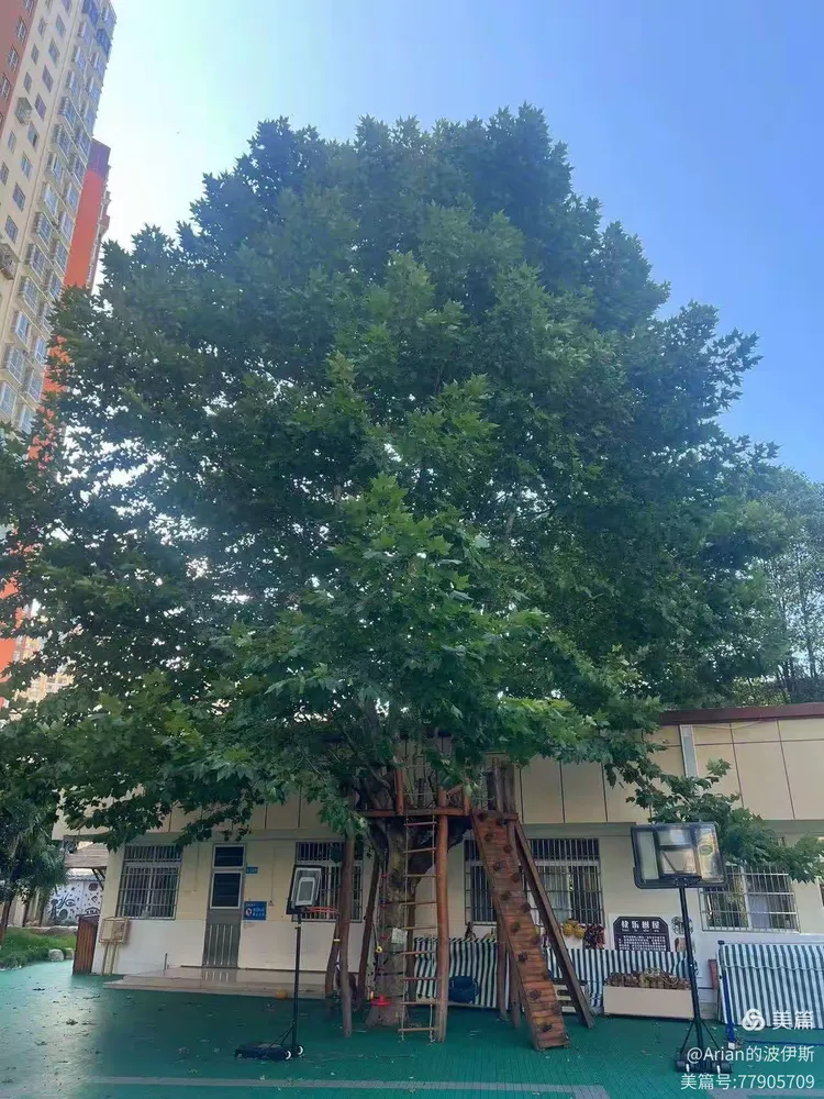 园徽征集令 ||黔南州机关幼儿园邀您一起来设计